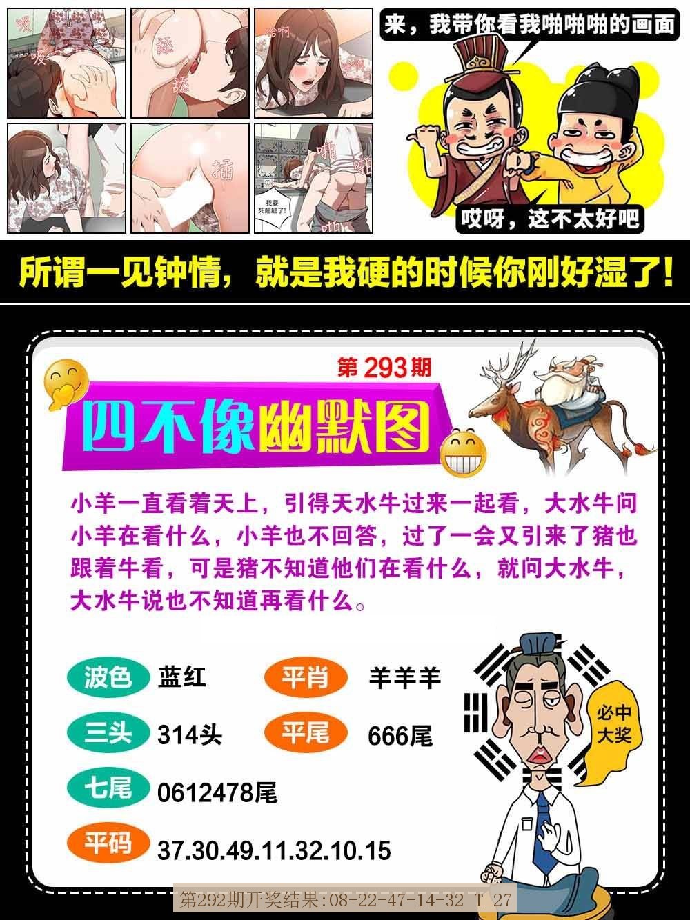 293期