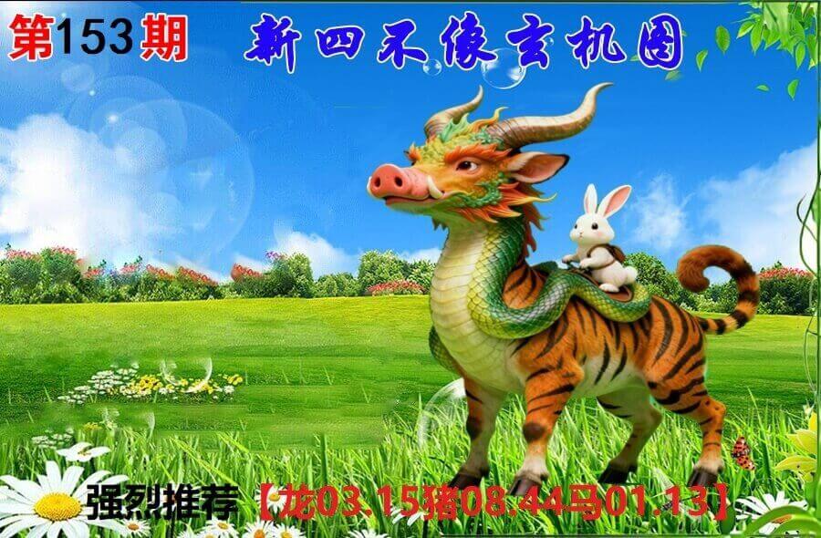 153期香港会员报
