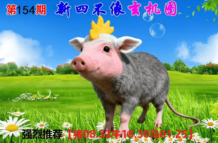 154期香港会员报