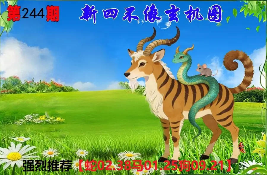 244期香港会员报