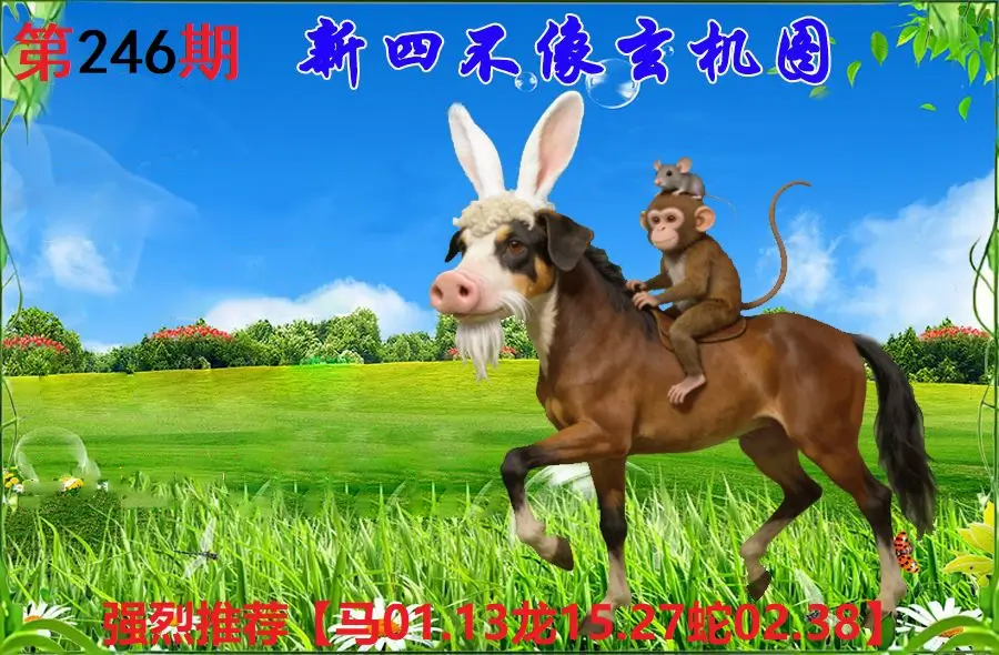 246期香港会员报