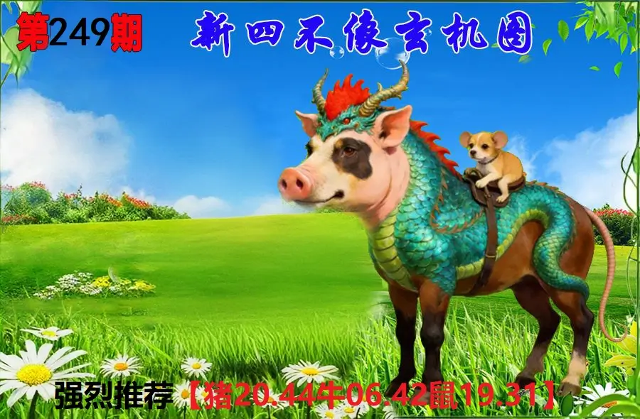 249期香港会员报